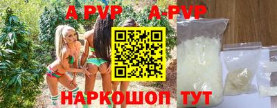 гашик Пыть-Ях