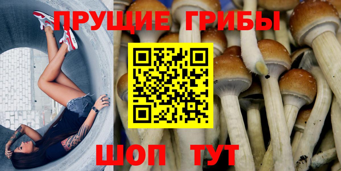 Галлюциногенные грибы Magic Shrooms  Вход с VPN  Нягань  Псилоцибиновые грибы прущие грибы 