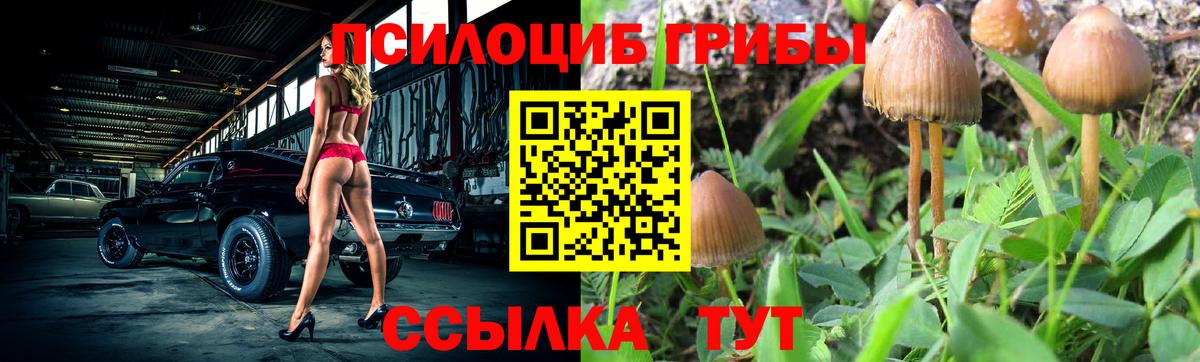 Галлюциногенные грибы Magic Shrooms Нягань